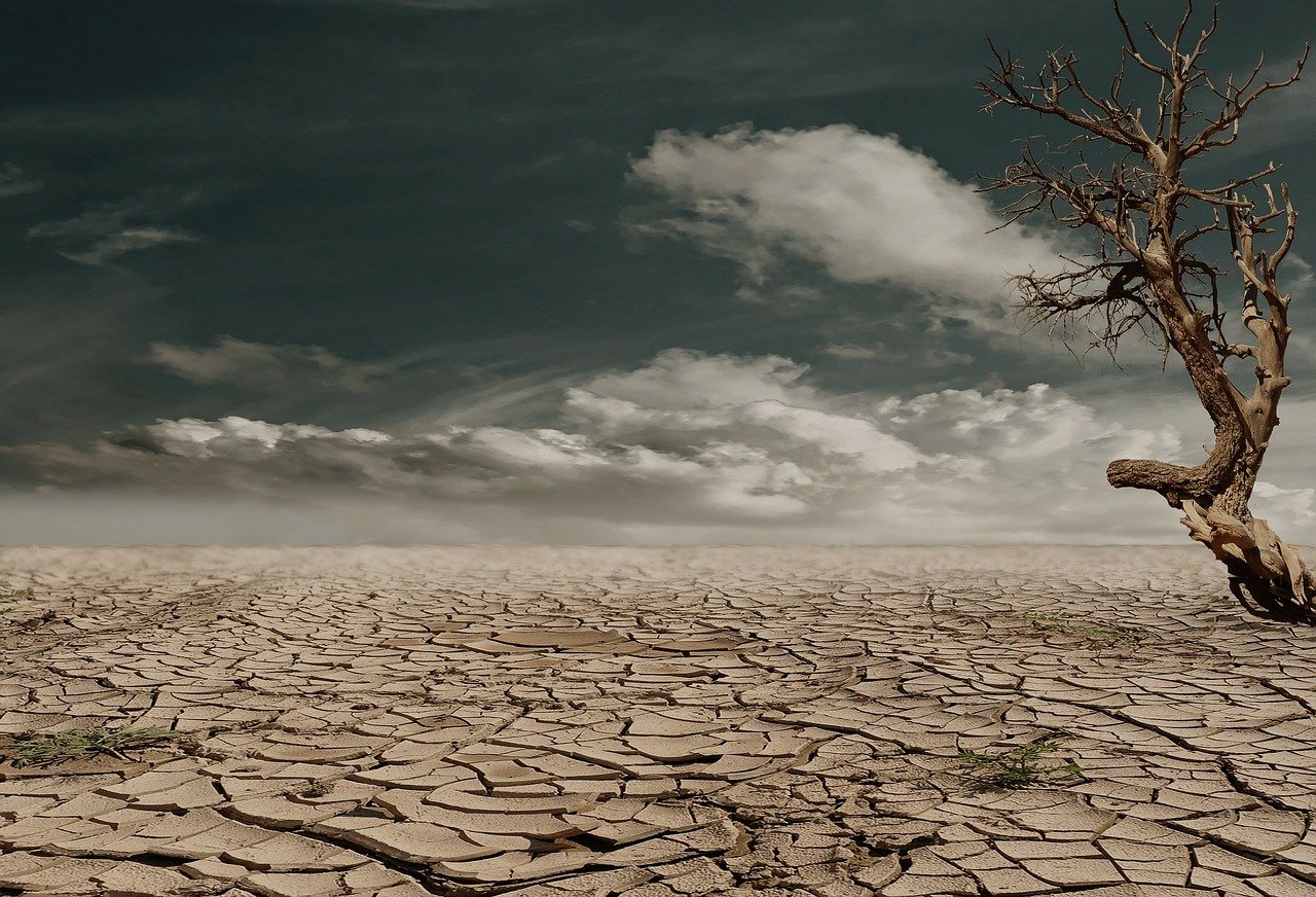 Tribune du Monde “Without decisive action, the chronic lack of water will not be solved”.