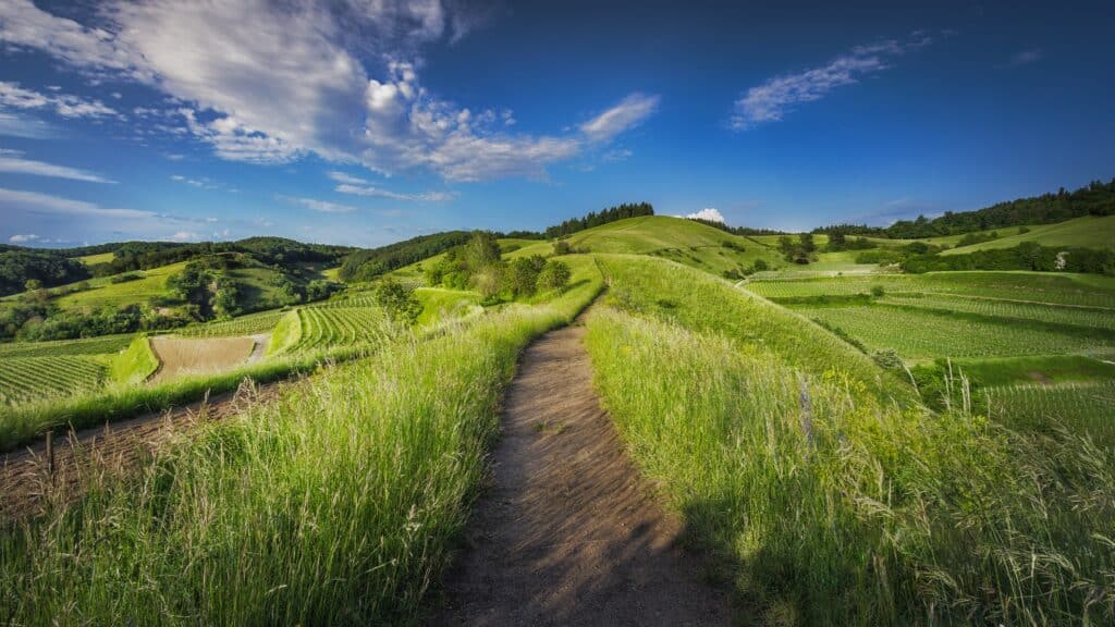 The Next Path for Water – IWA