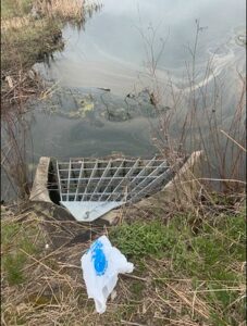 Microplastics pollution in pond water